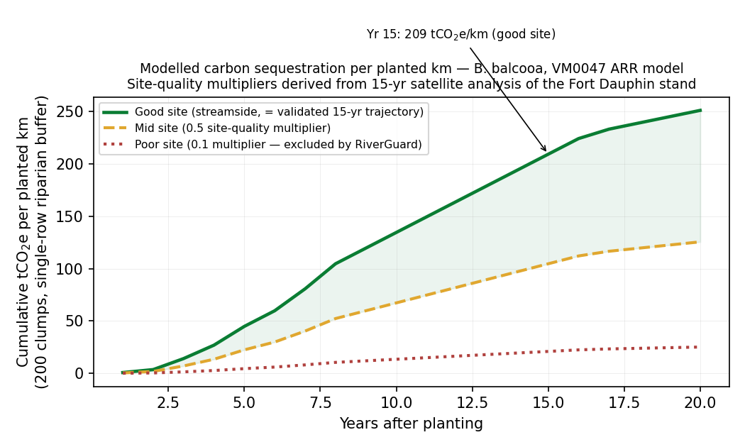 Modelled carbon sequestration per planted km of riparian buffer over 20 years. Good sites (streamside, matching the 15-year Fort Dauphin trajectory) reach ~209 tCO₂e/km by year 15. Mid sites (0.5 site-quality multiplier) reach ~85 tCO₂e/km at year 15. Poor sites (0.1 multiplier) never accumulate meaningfully — these are the sites the RiverGuard platform excludes.